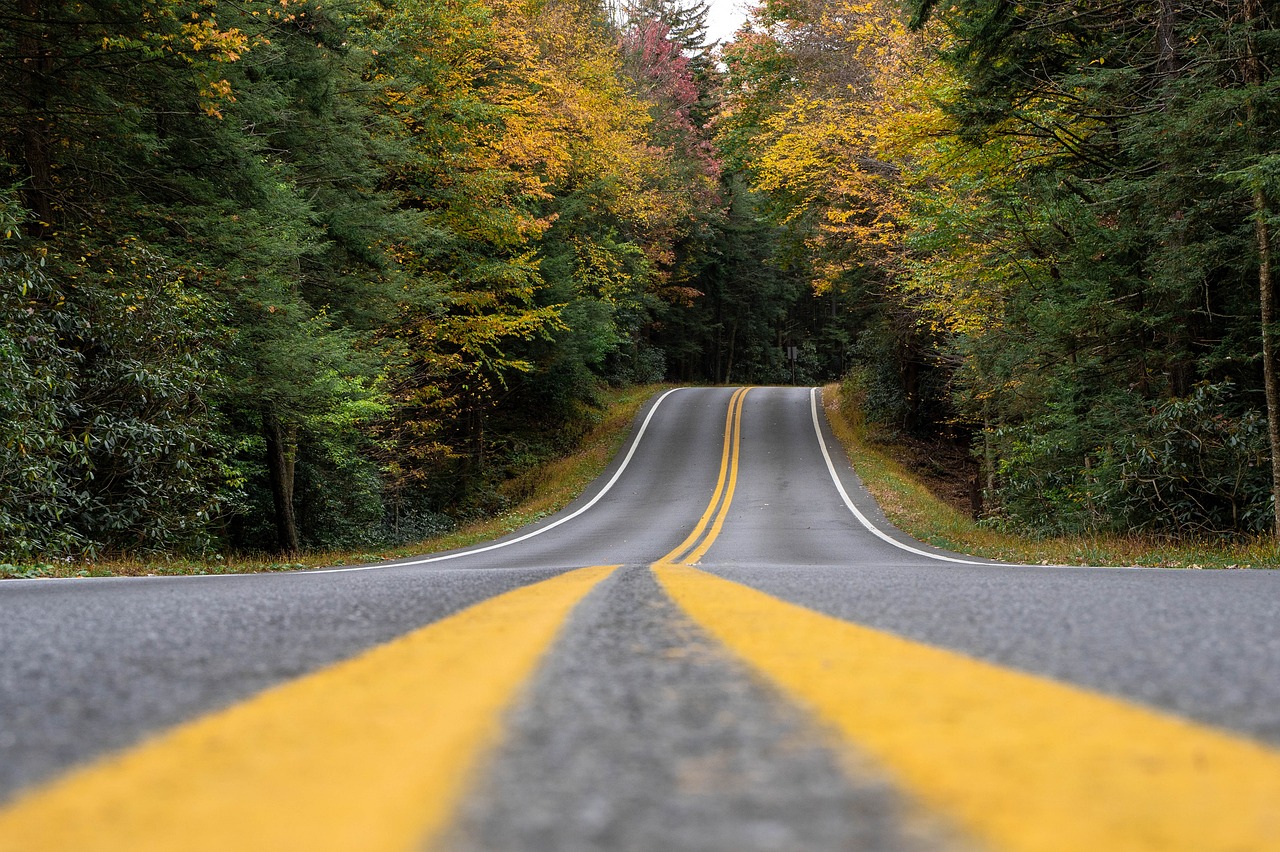 road, landscape, autumn-6745746.jpg